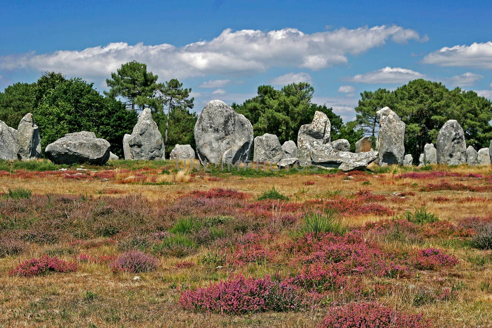 Kermario,Megalithic Fields