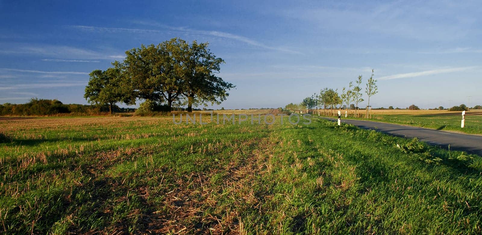 On the country road