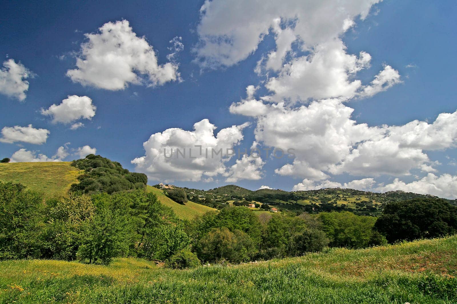 Sardinia,On Lake Liscia