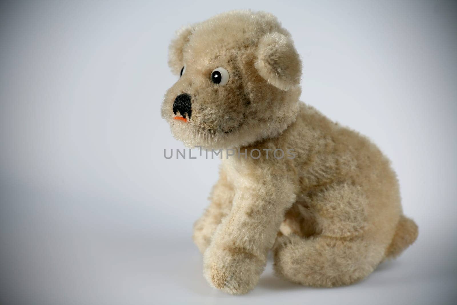 Old,beloved plush dog