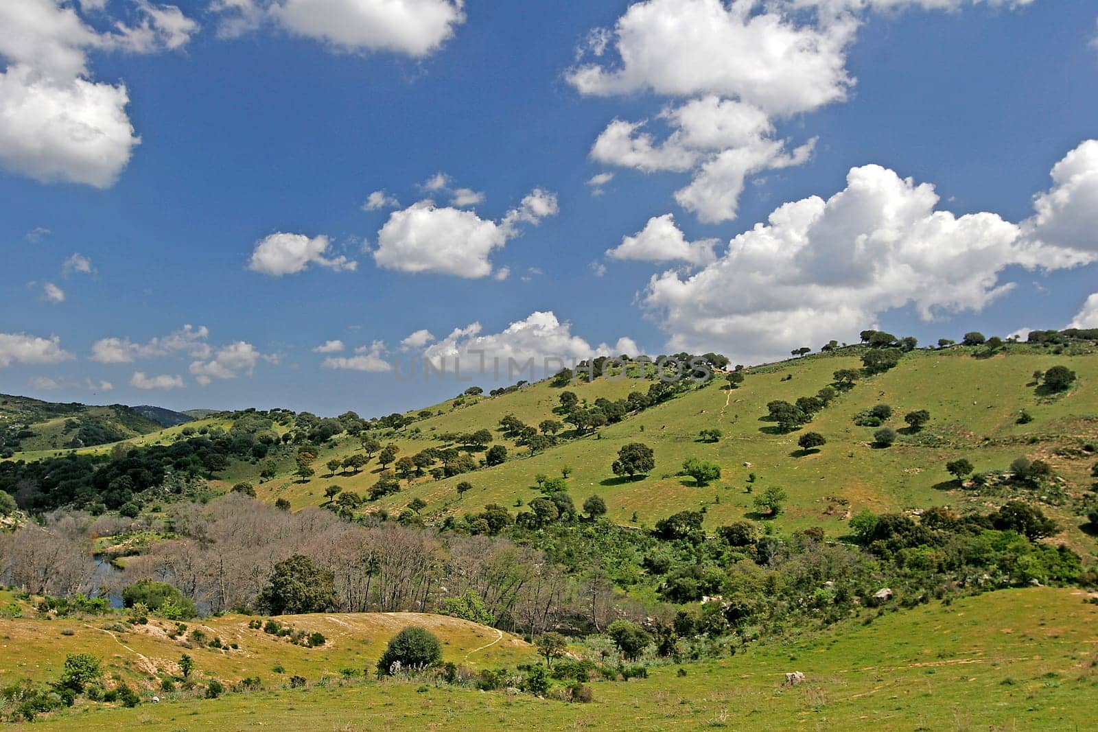 On Lake Liscia,hilly landscape