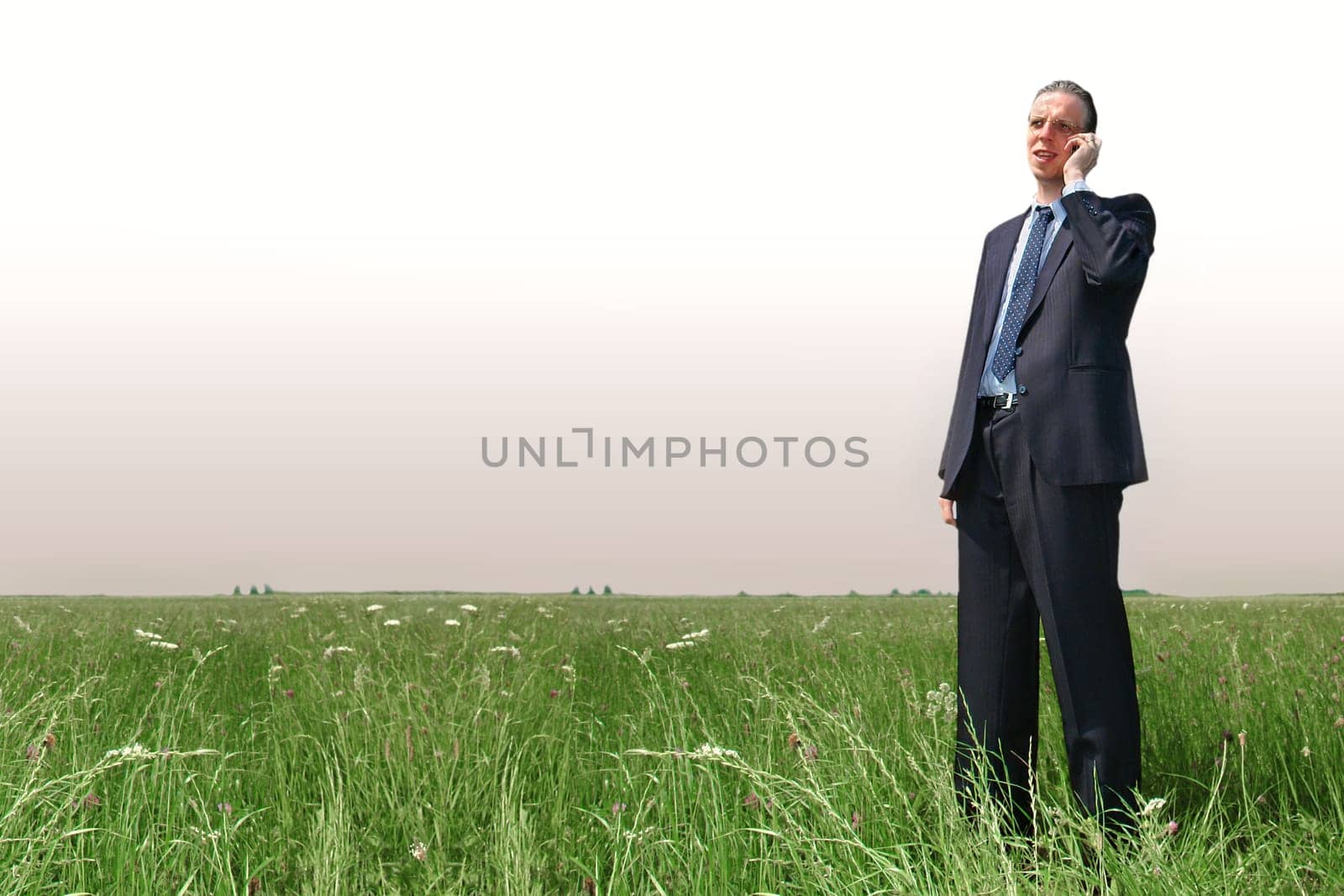 Businessman on the phone on a meadow