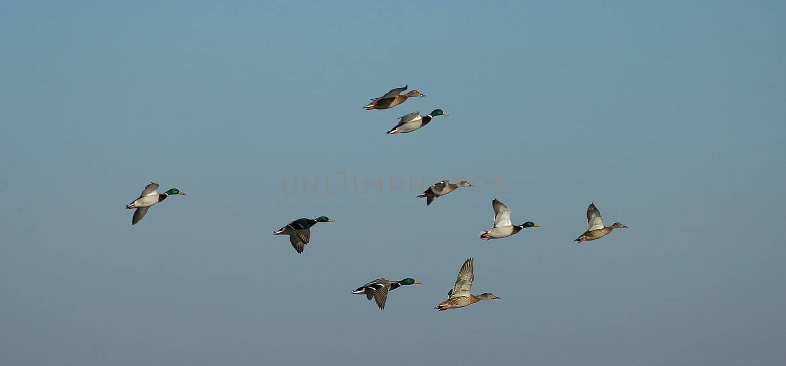 Flight lesson