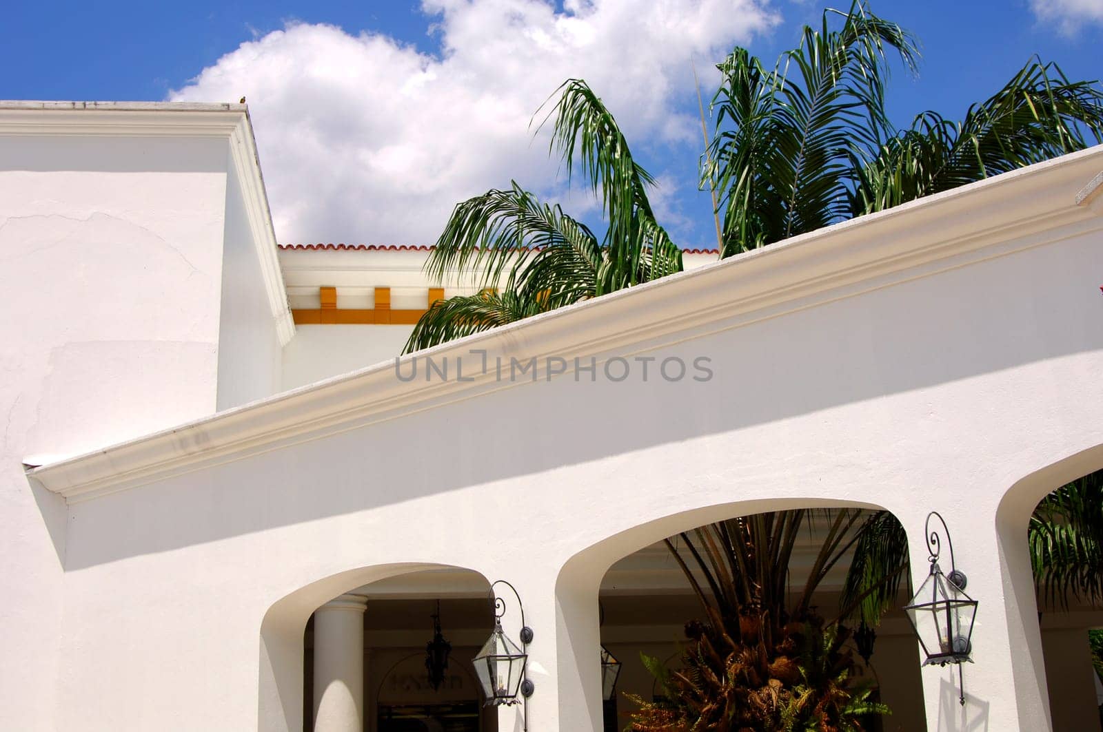 Villa in tropical surroundings
