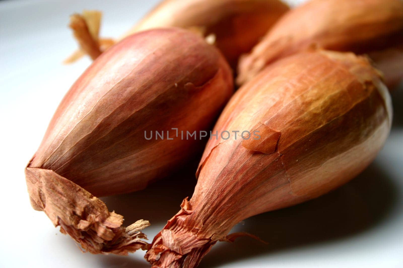 Shallots (2)