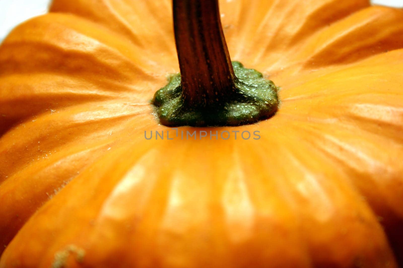 Pumpkin (3)
