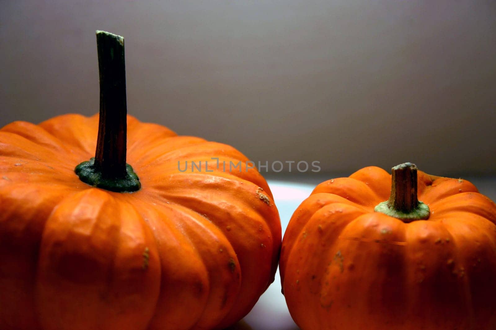 Pumpkin Still Life (2)