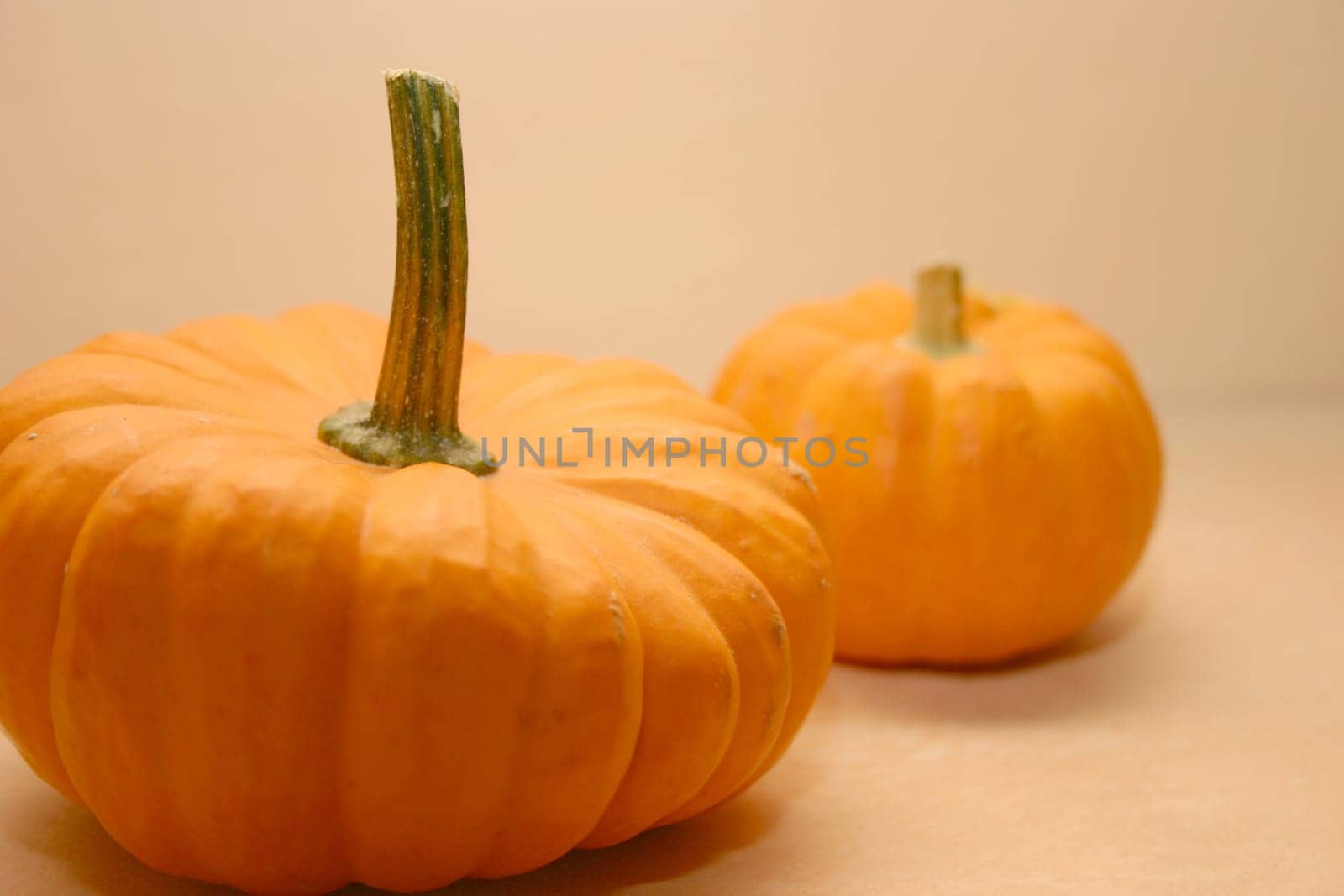 Pumpkin still life