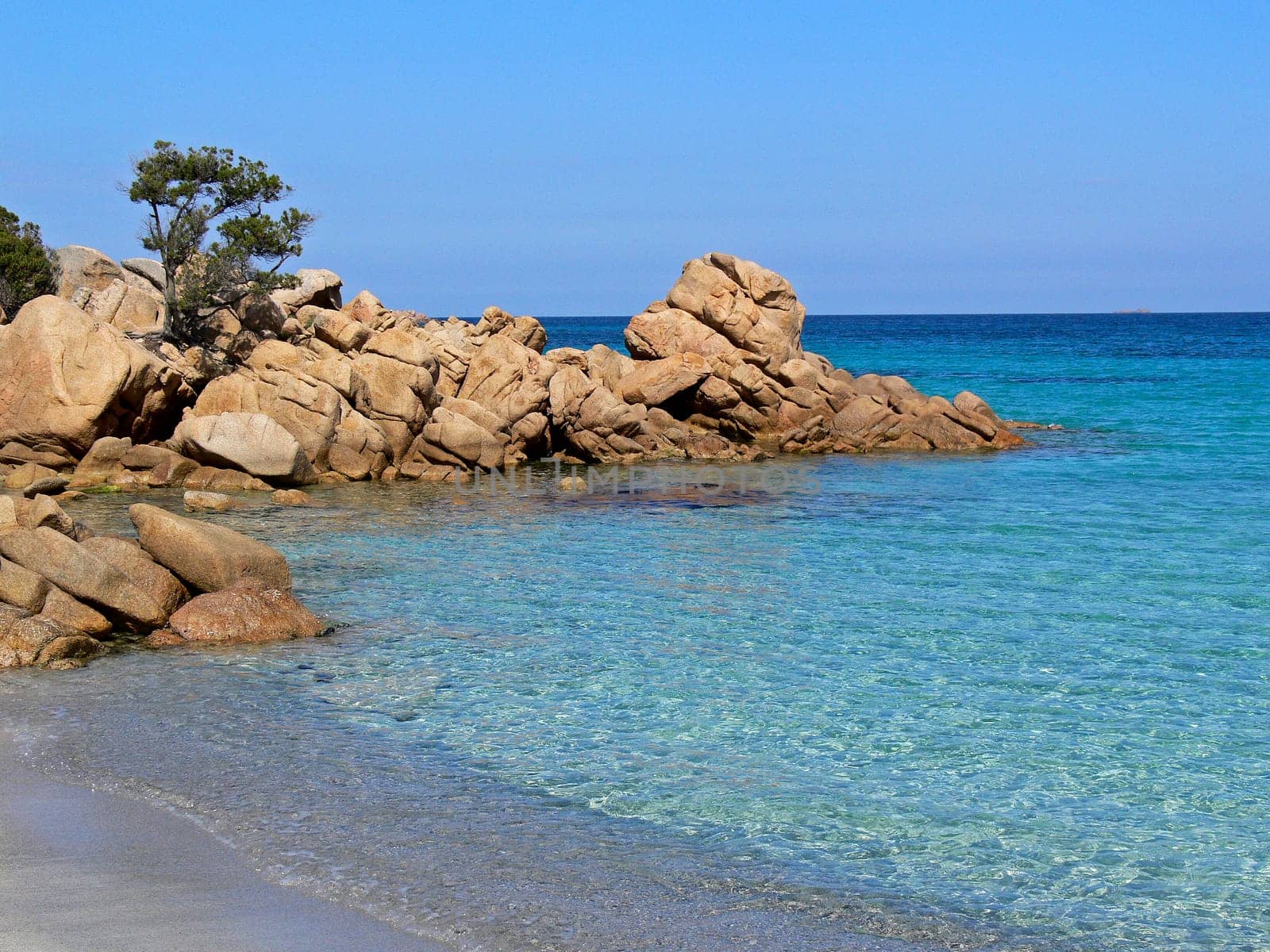 Costa Smeralda,tree on rock