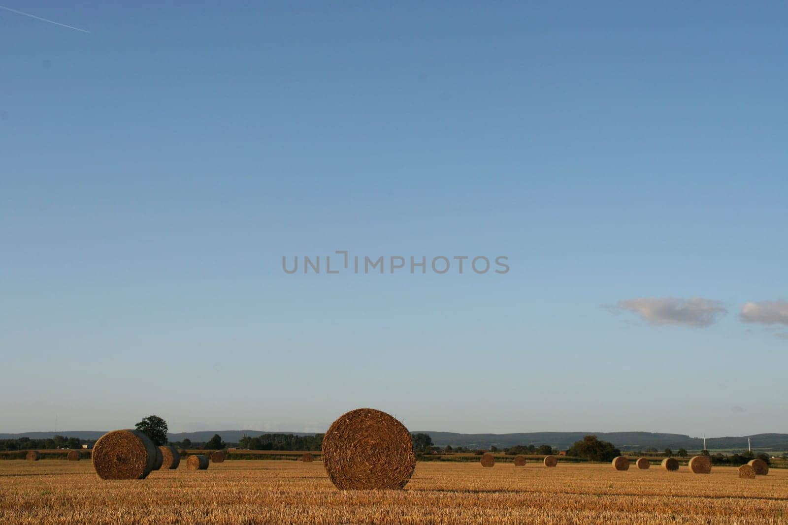 Harvest time...