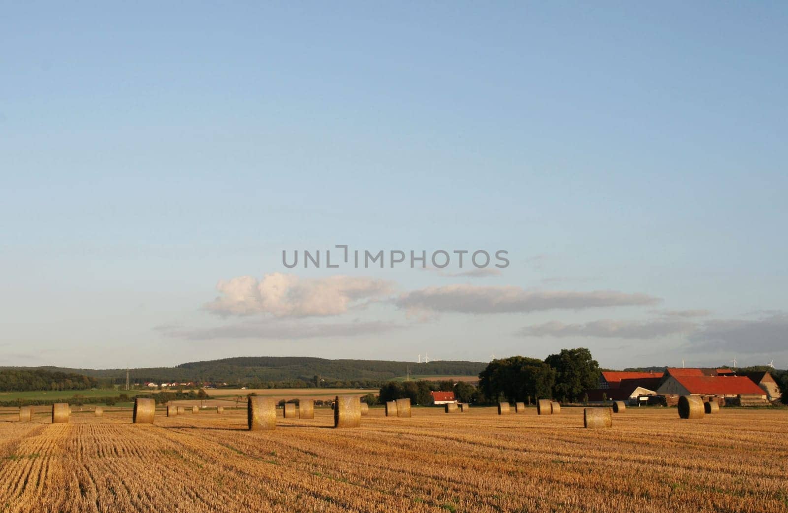 Harvest time...