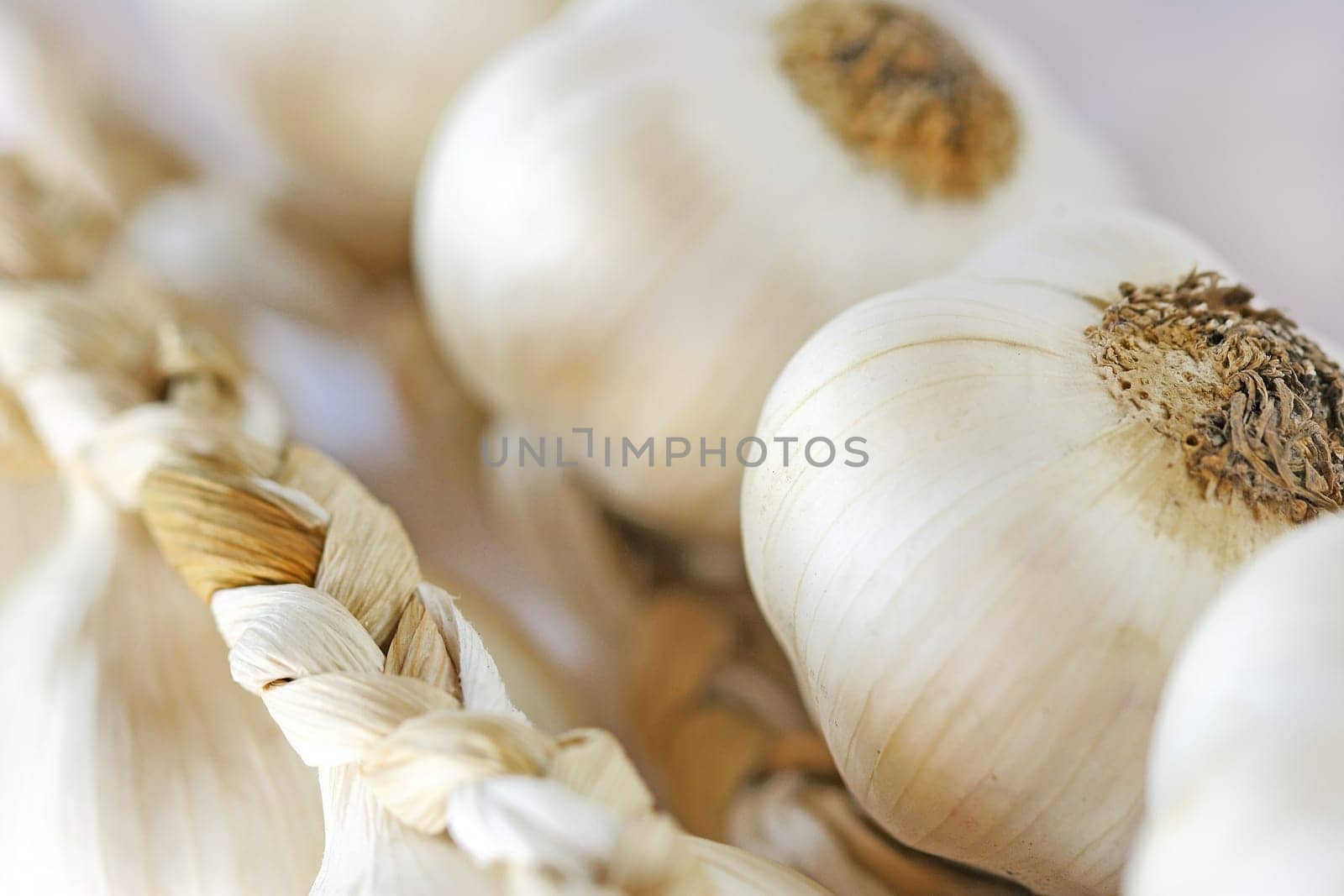Garlic