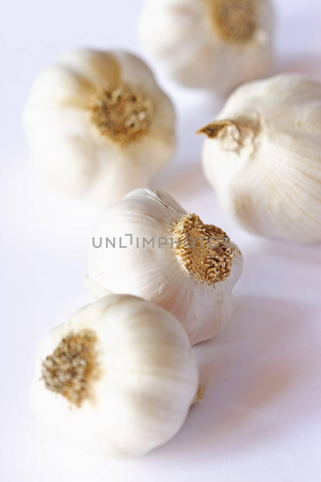 Garlic