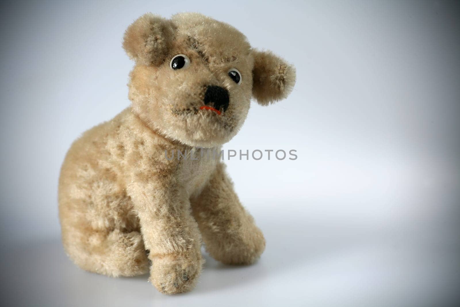 Old,beloved plush dog