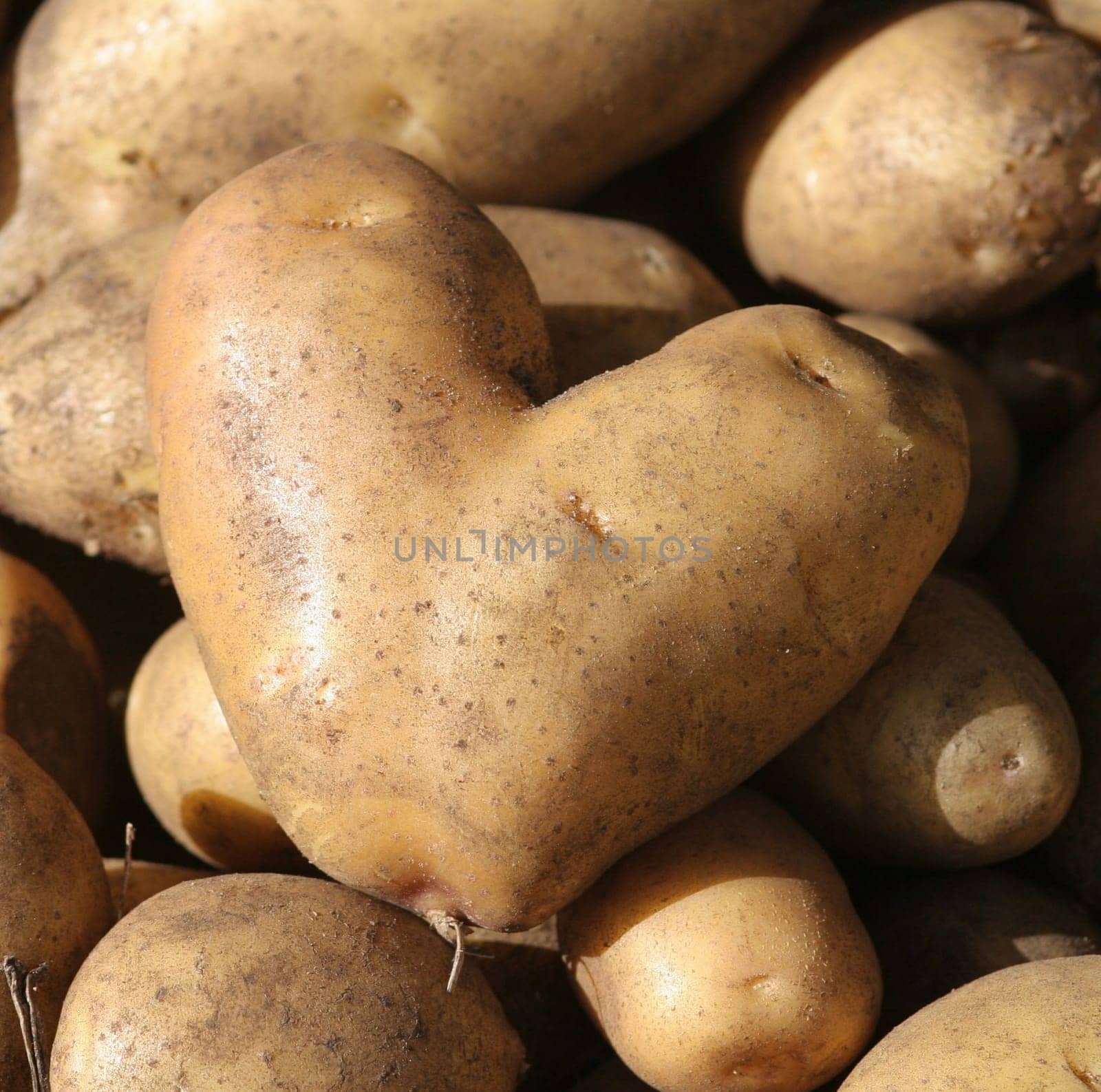 PotatoHeart...