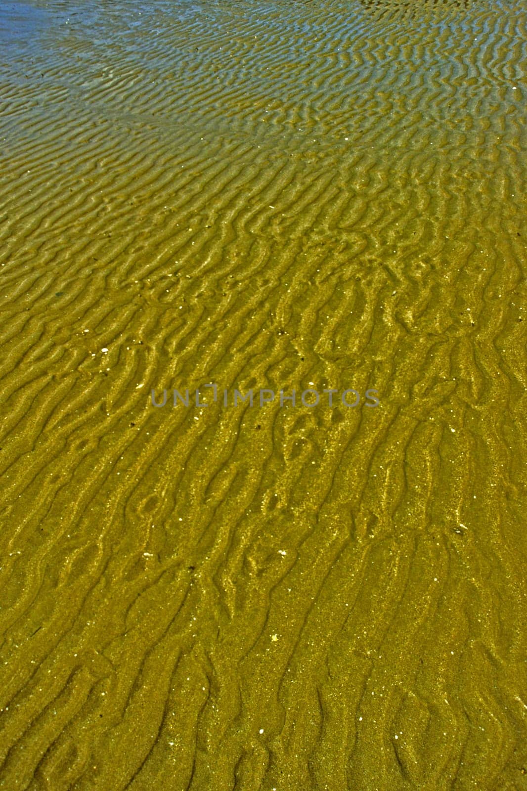St-Cast-le-Guildo,Low tide,Brittany