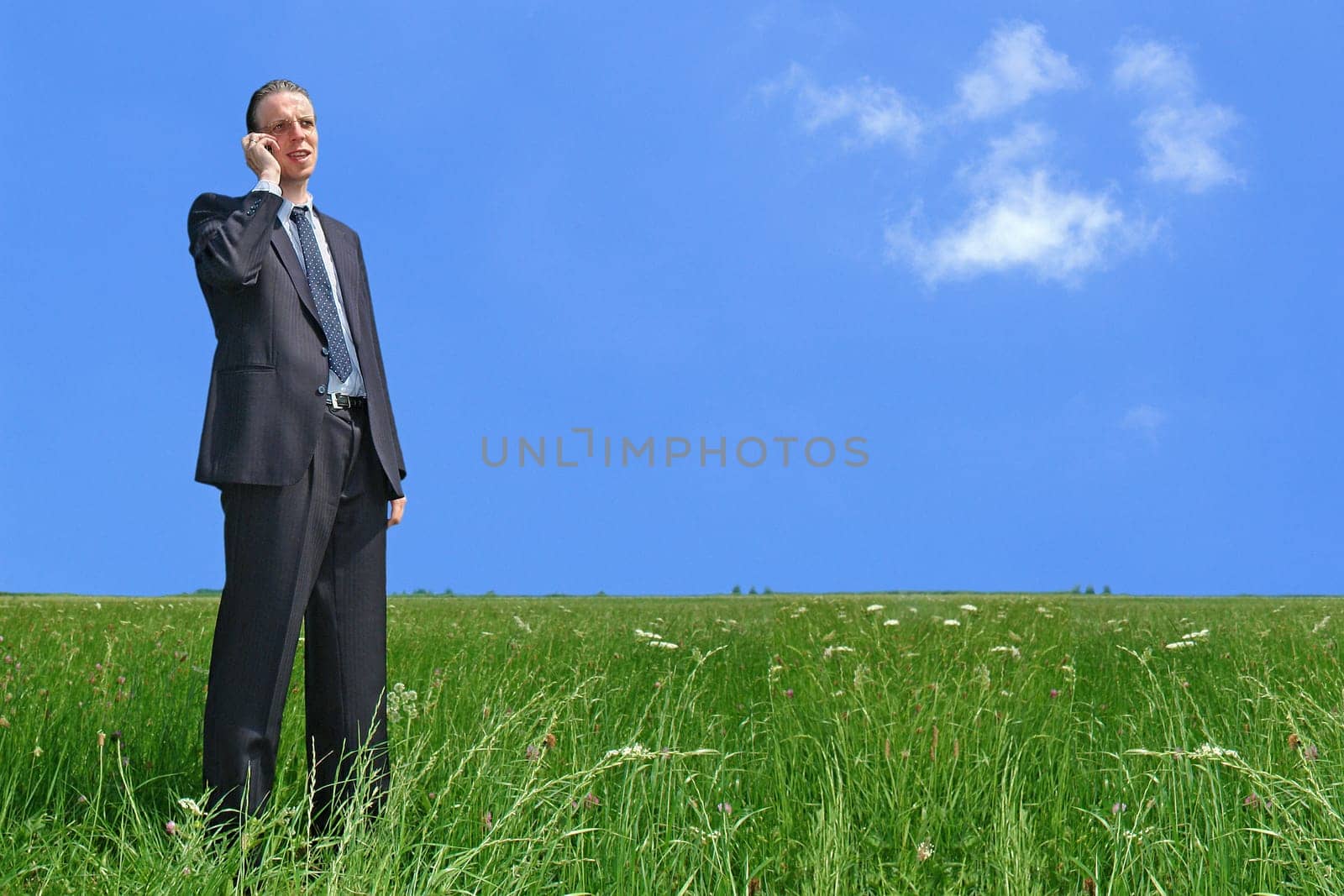 Businessman on the phone on a meadow