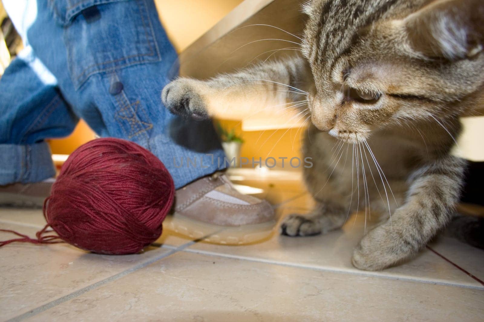 Attack