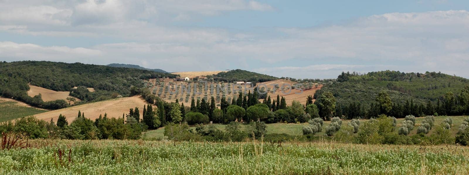 Tuscany Landscape