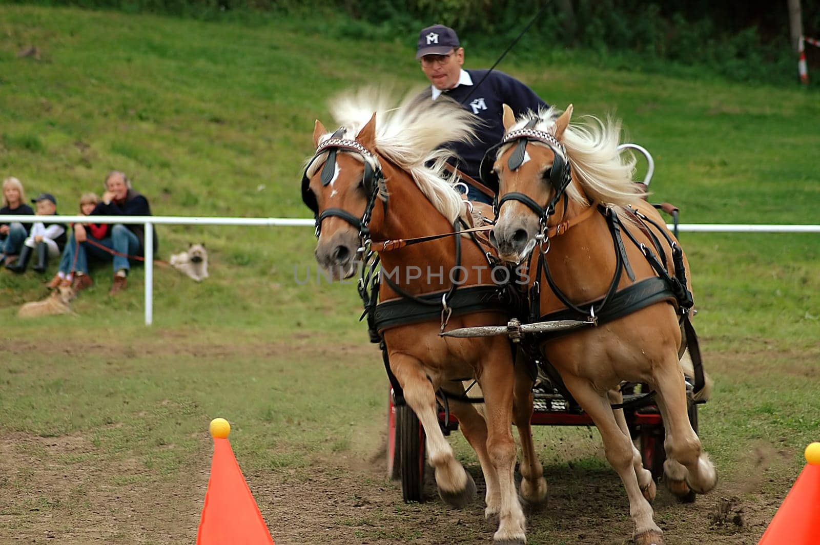 At this point,the horses were so fast that I couldn't get the hooves all the way up......!