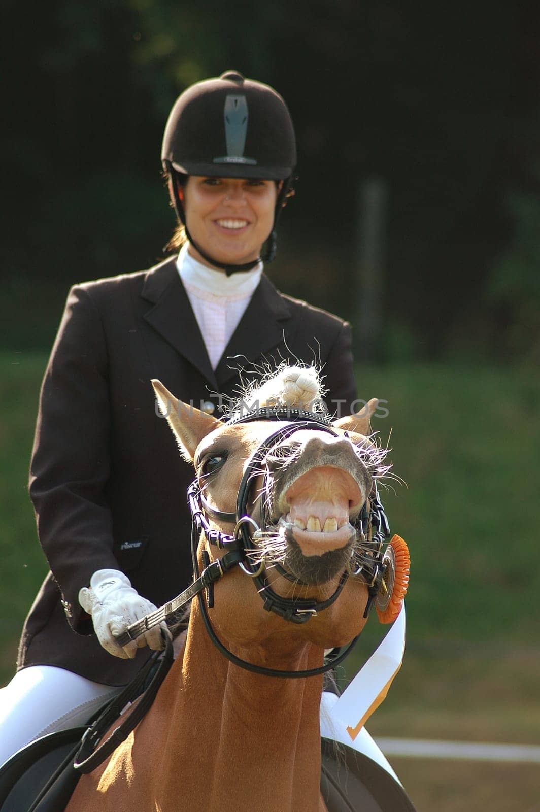 Here even the stallion was happy about the victory!