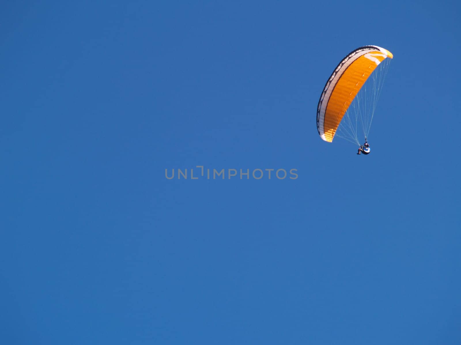 Paragliding Kössen
