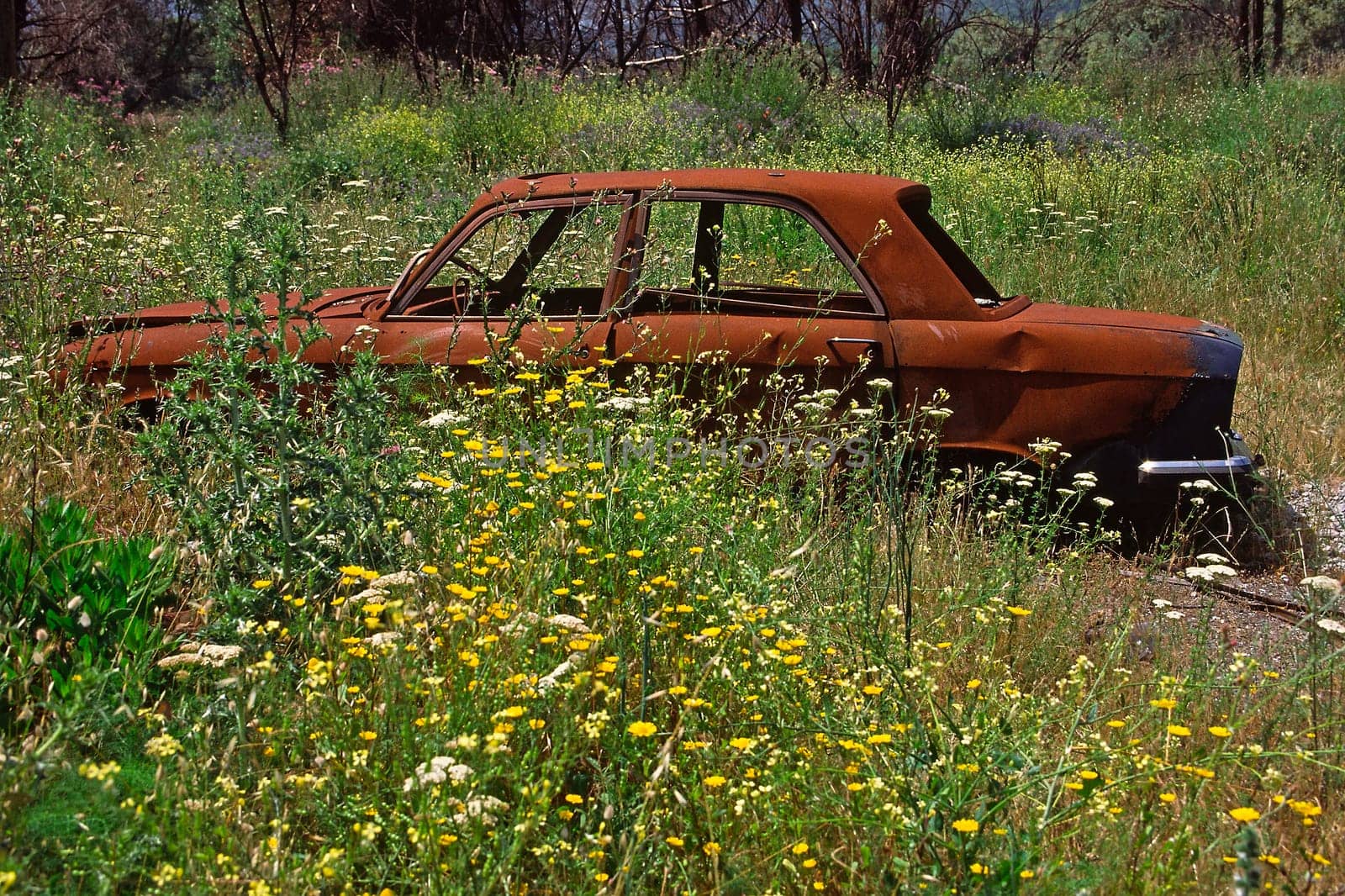 Car wreck