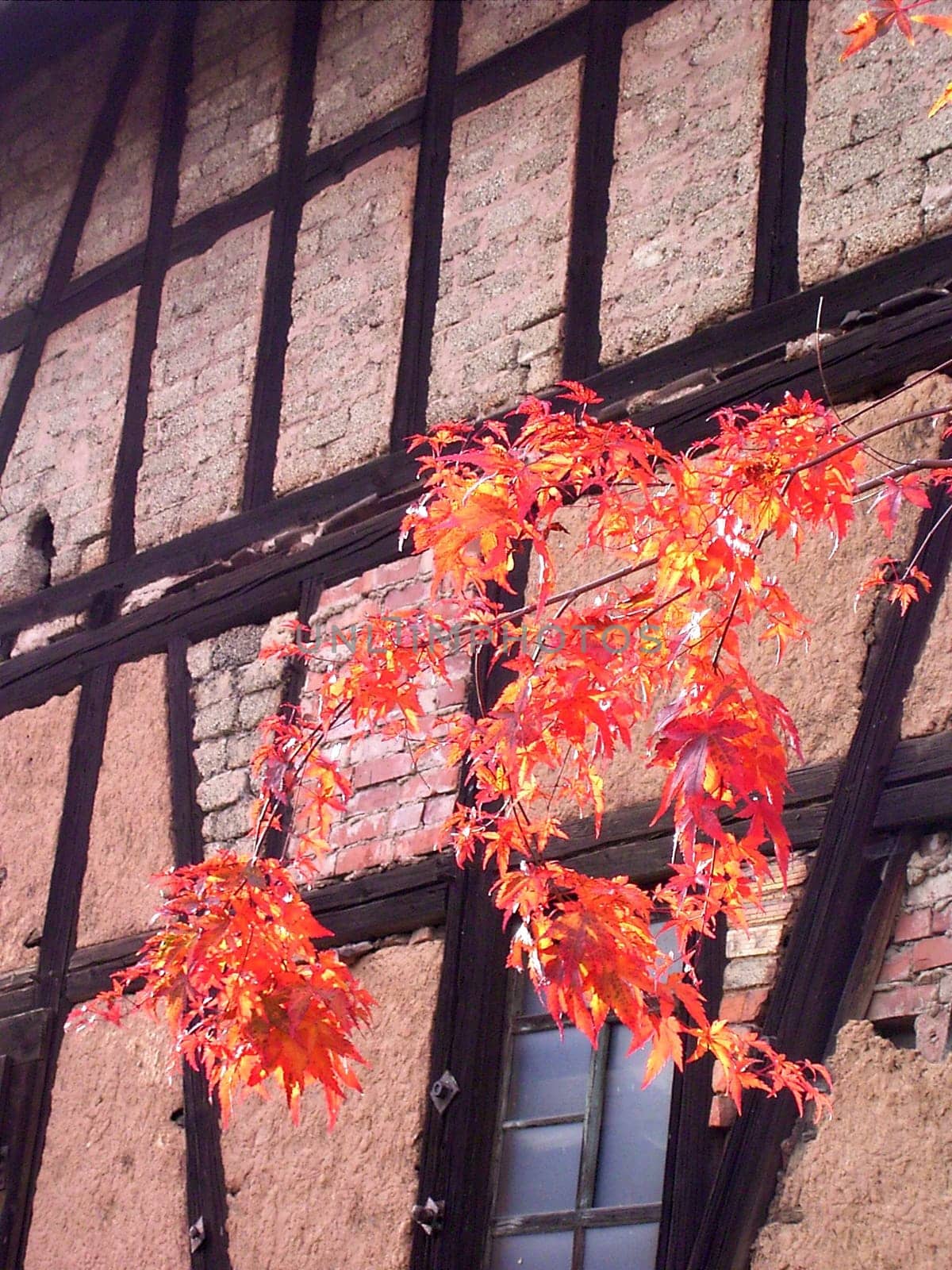 Autumn 09