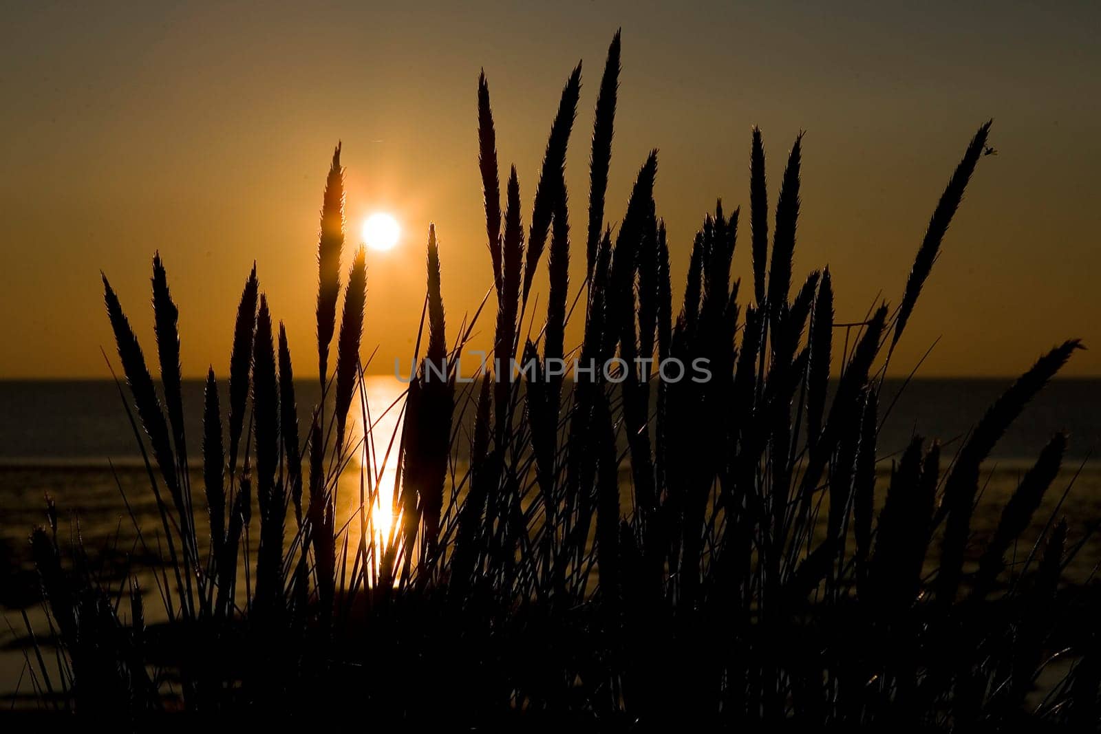 sunset or (sunset beach) or (sunset nature) or (sunset skyline)