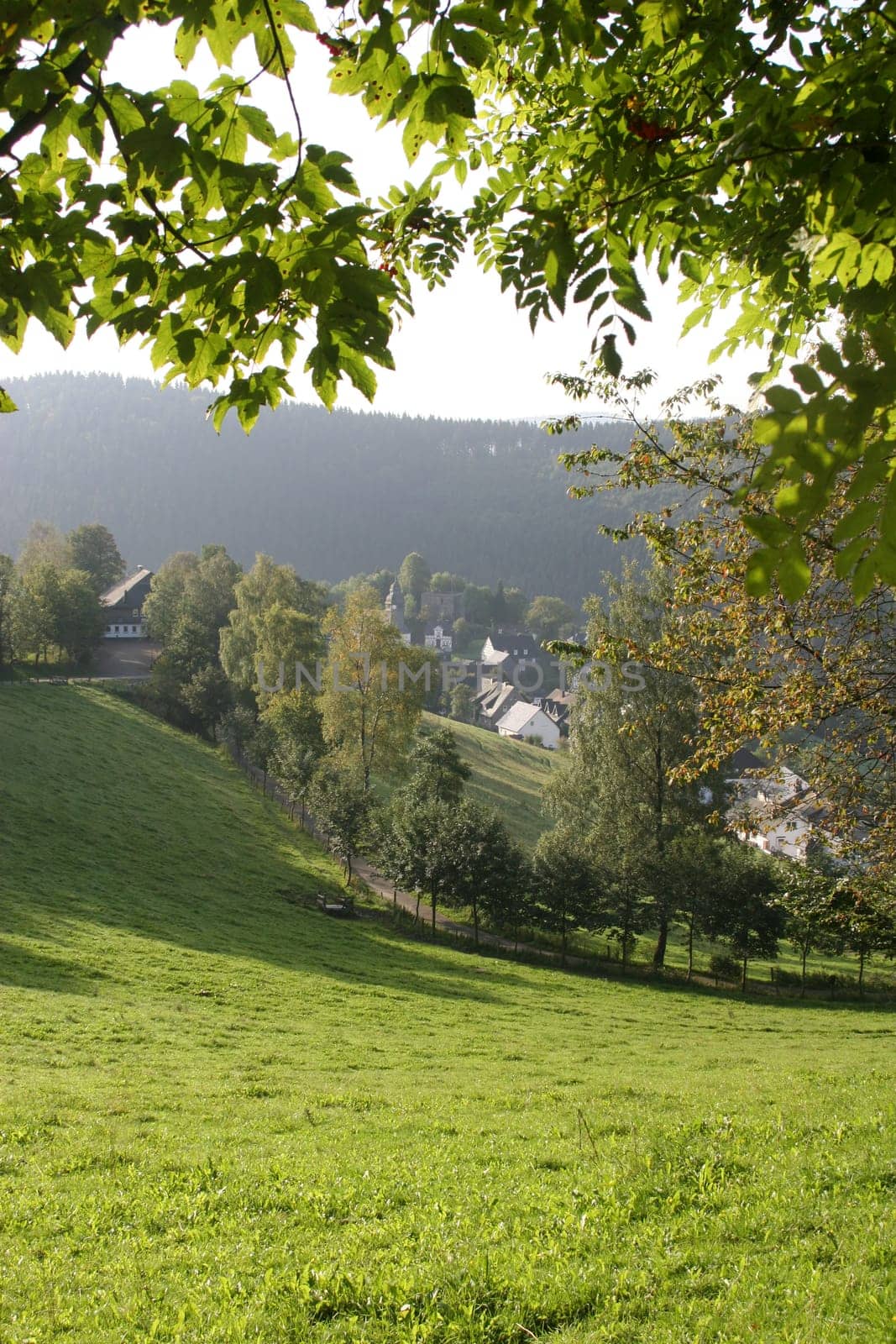 Nordenau2
