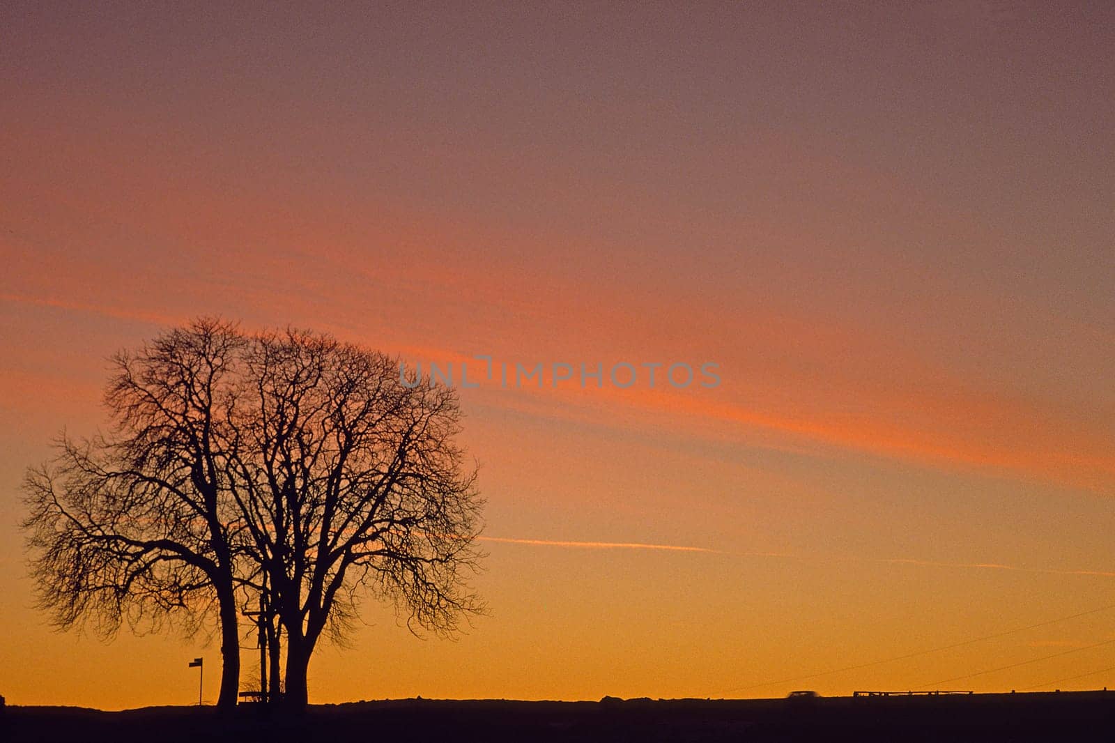 Chestnut,Sunset,Evening Sky Bad Iburg-Glane,Osnabrücker Land