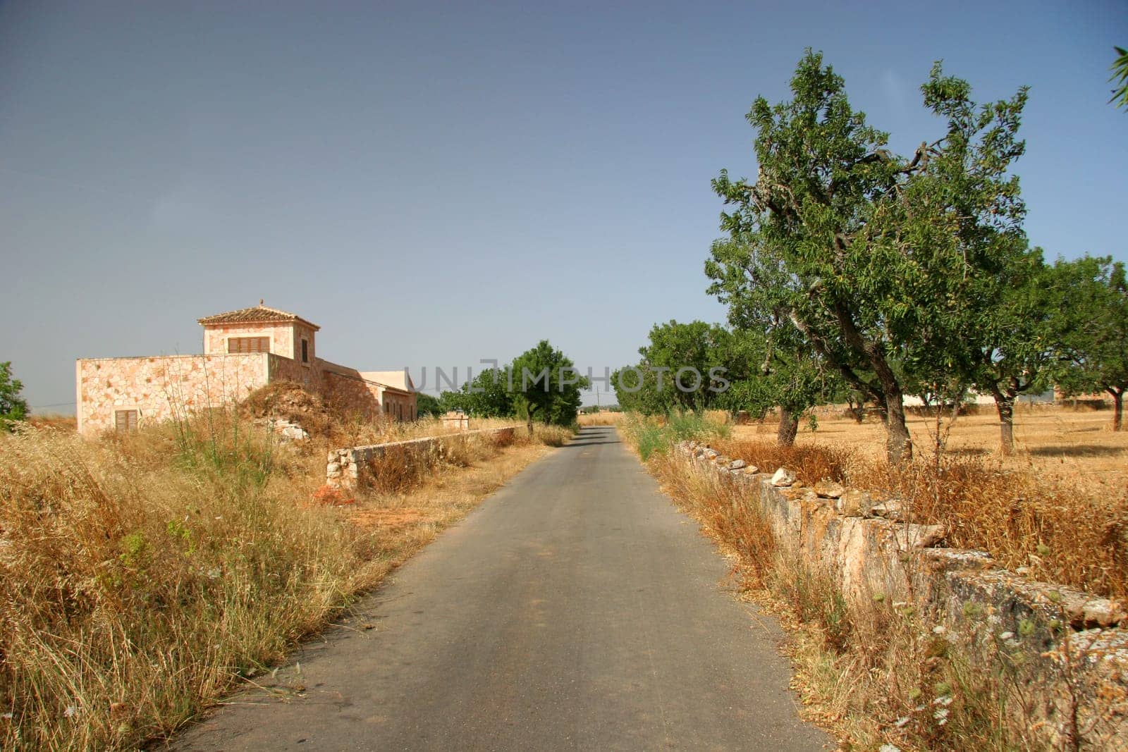 Mallorcan country road