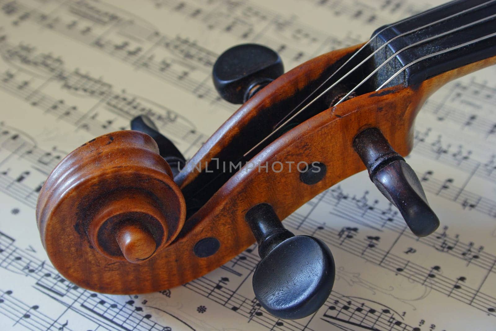 Was able to lend me this old violin. I am fascinated by the aesthetics of this instrument.
