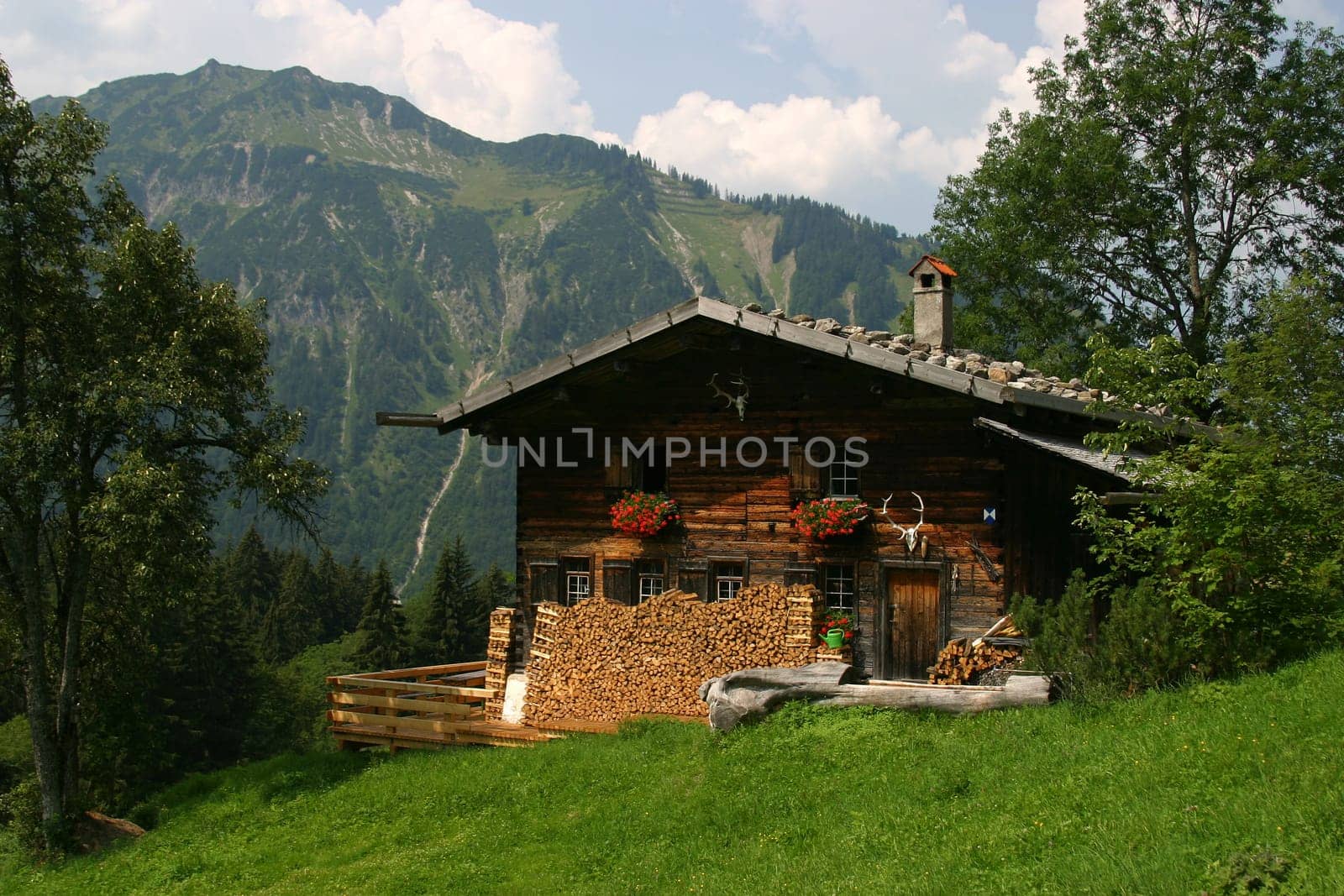 Cabin in the mountains