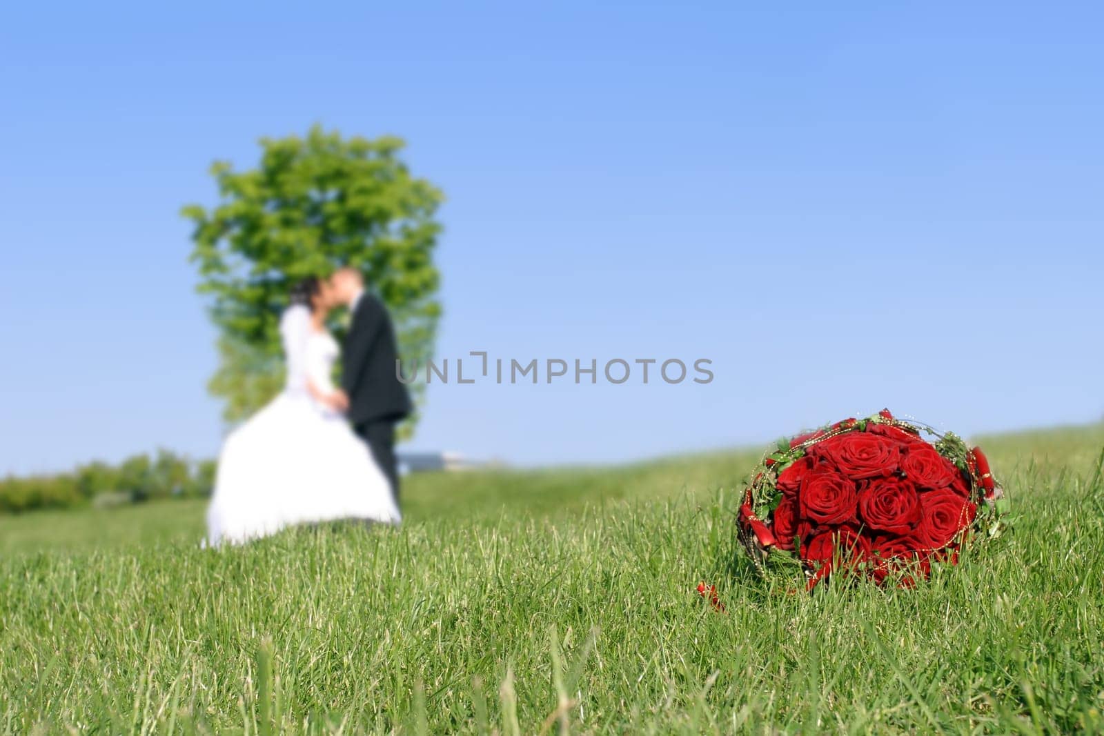 Bride and groom