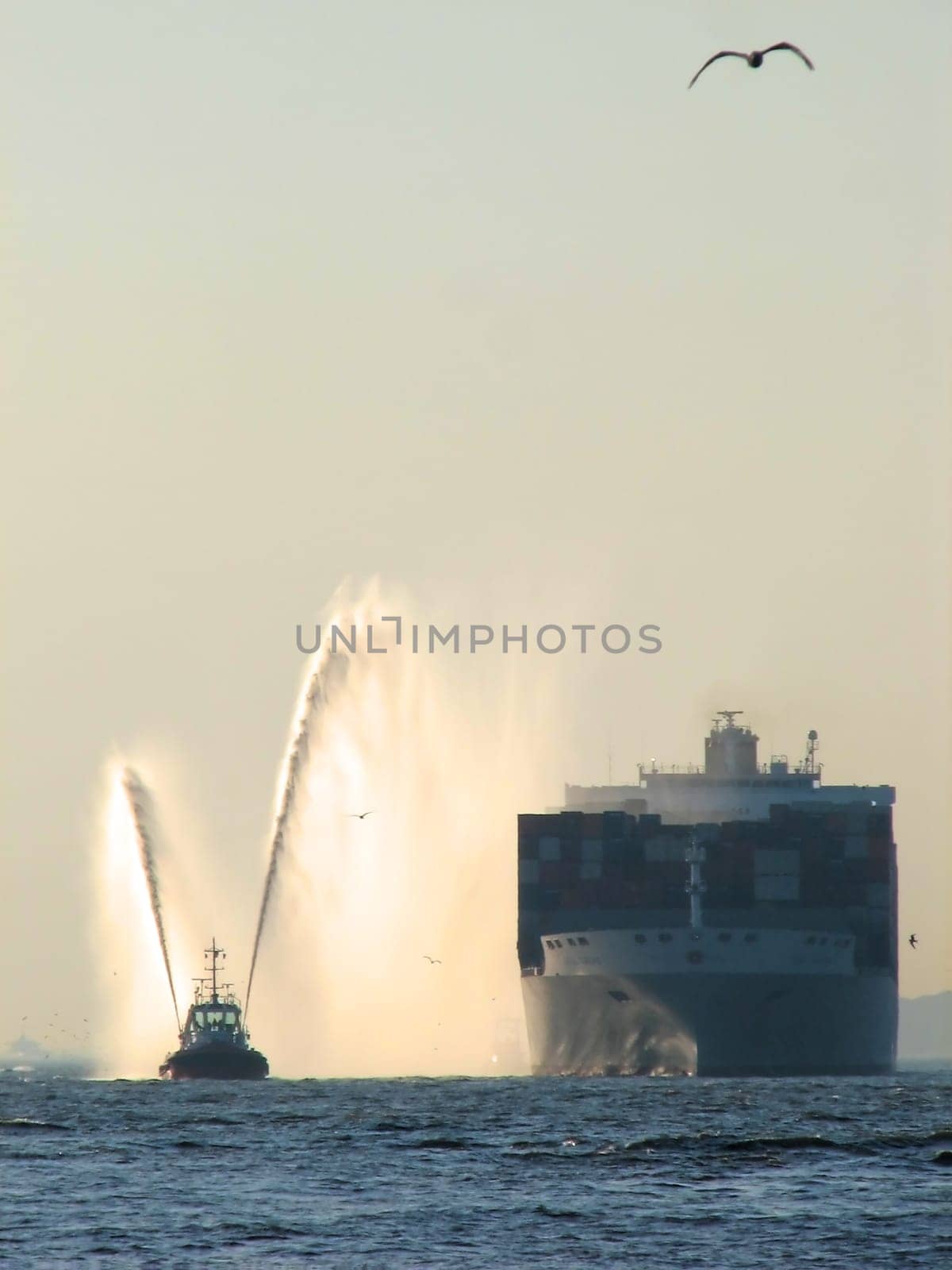 Welcome to the maiden arrival in the Port of Hamburg