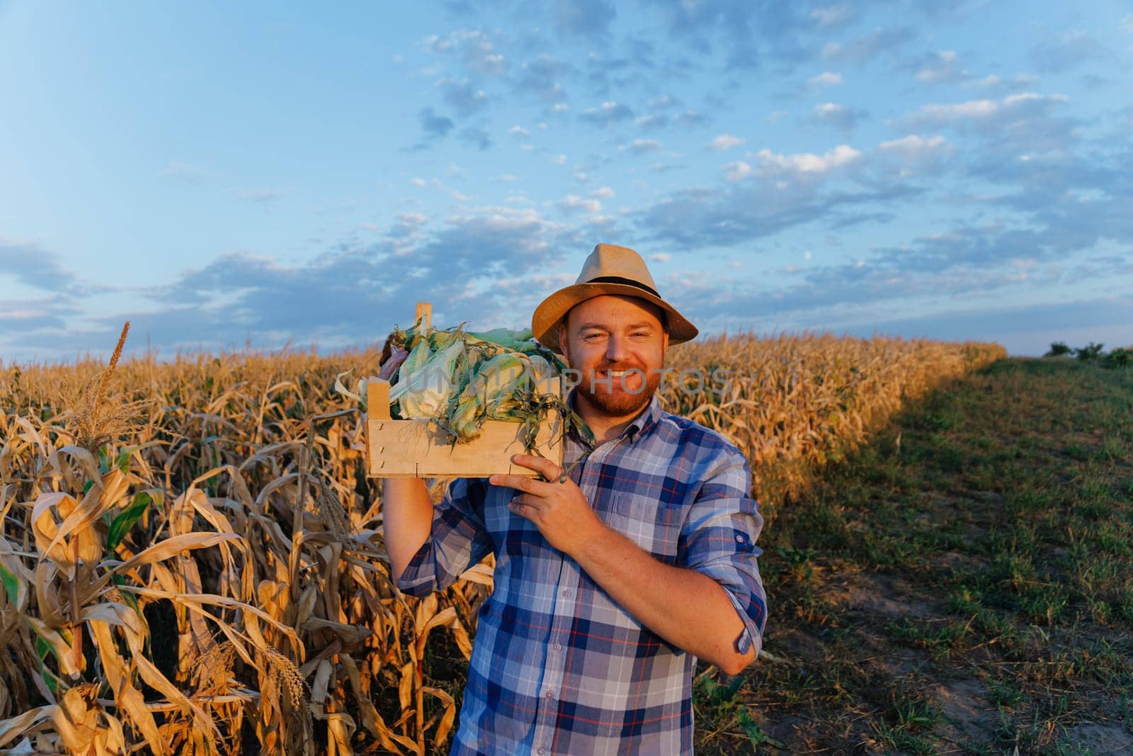 A young man with a box of corn on his shoulder. A young farmer holds a box of corn in his hands. The concept of food, industry, agriculture. High quality photo