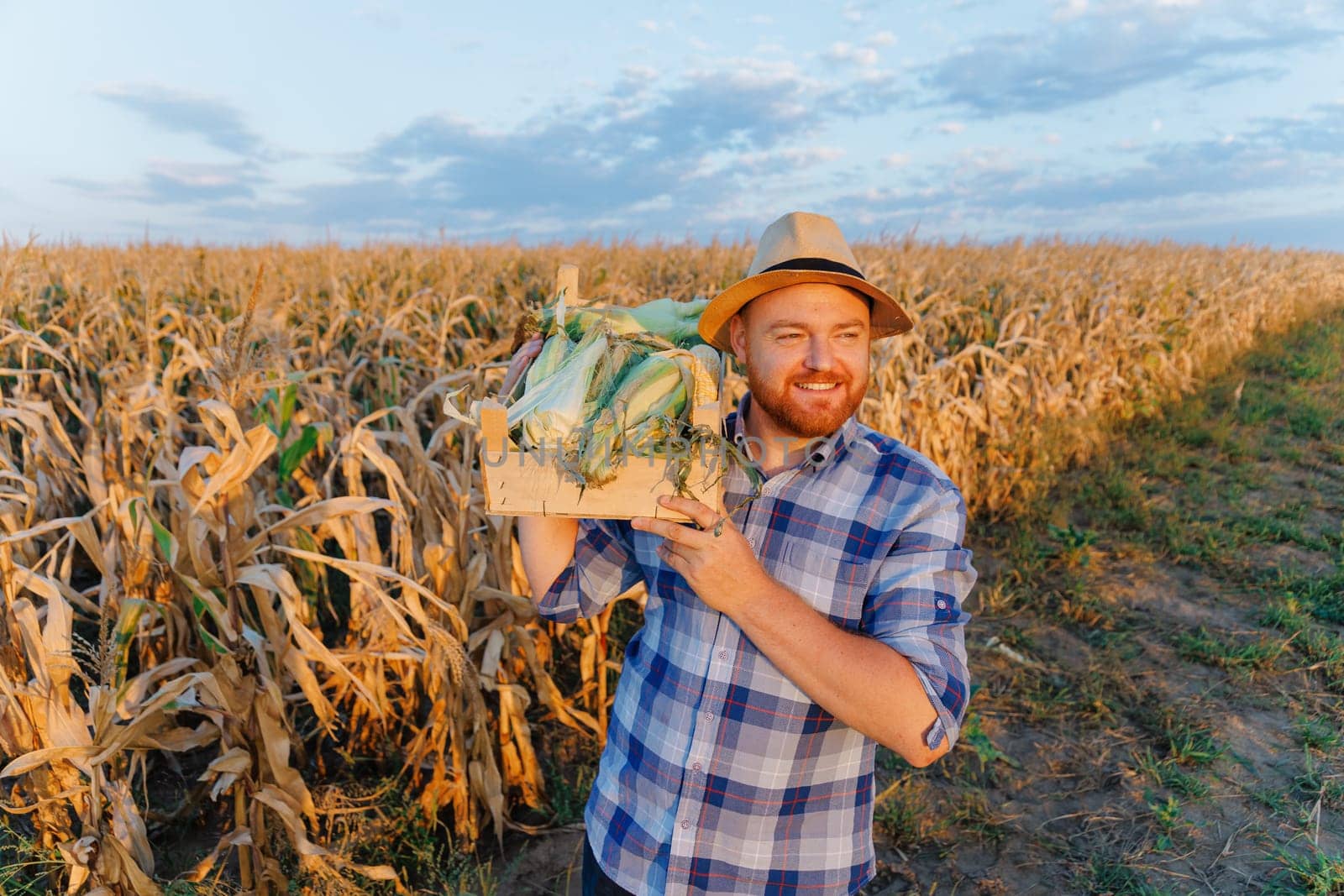 A young man with a box of corn on his shoulder. A young farmer holds a box of corn in his hands. The concept of food, industry, agriculture. High quality photo