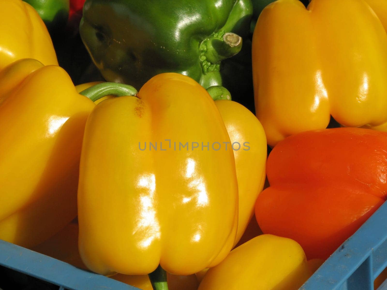 PEPPERS,PEPPERS,ORGANIC VEGETABLES,ORGANIC FOOD,FOOD,FRESH,VEGETABLES,VEGETABLES,HEALTHY,GREENS,RAW VEGETABLES,RED,LETTUCE,VITAMIN,VITAMINS