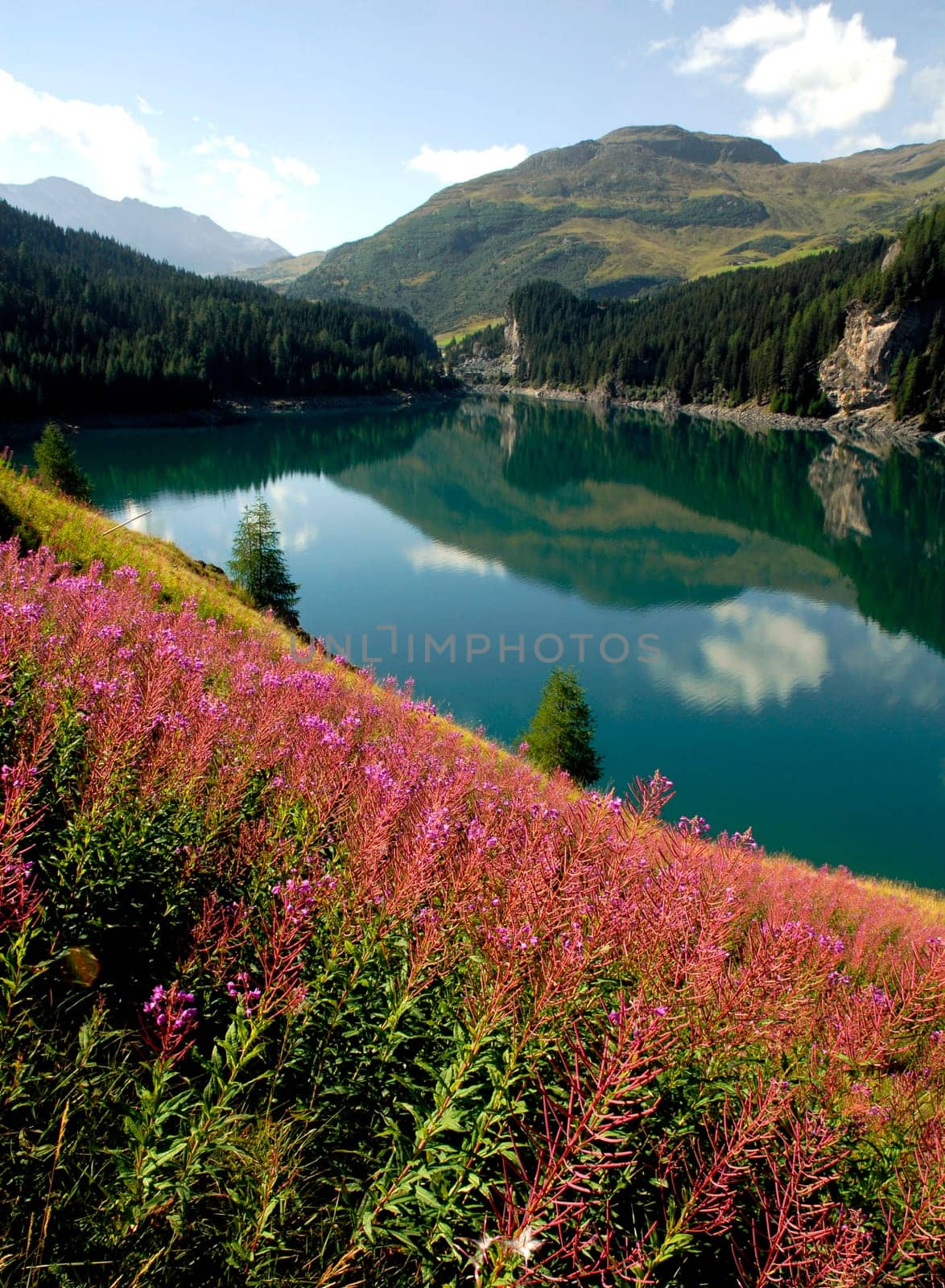 Marmorera is located on the road to the Julier Pass on Lake Marmorera,which is formed by an earth dam that is unique in Switzerland. The area has been spared from tourist transport facilities to this day,so that you can still find intact natural landscapes