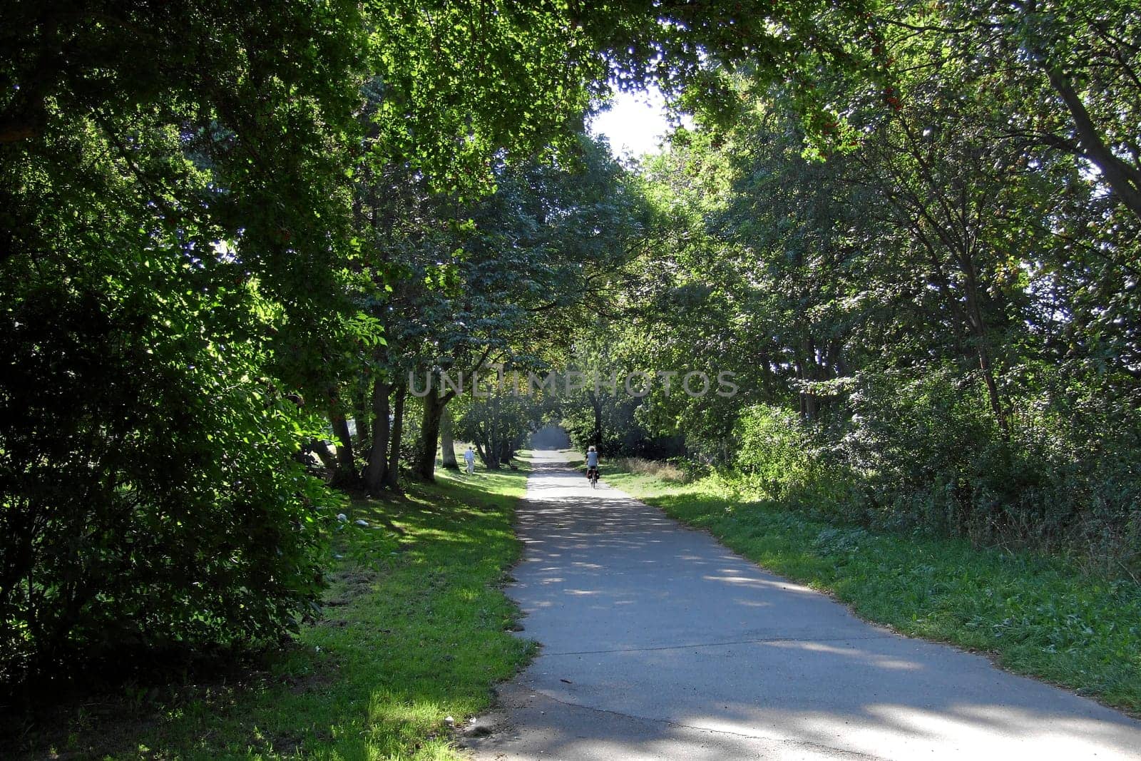 Path in late summer