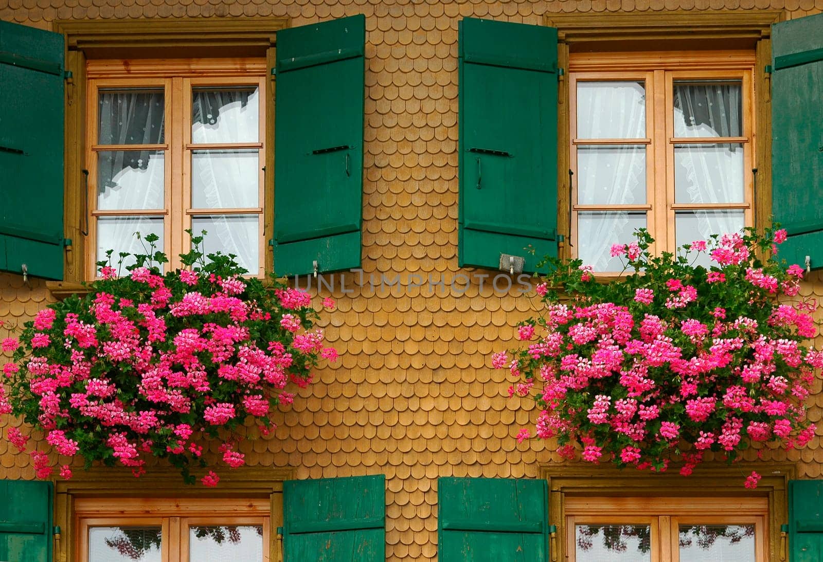 Distant chalets with begonias flowers Switzerland