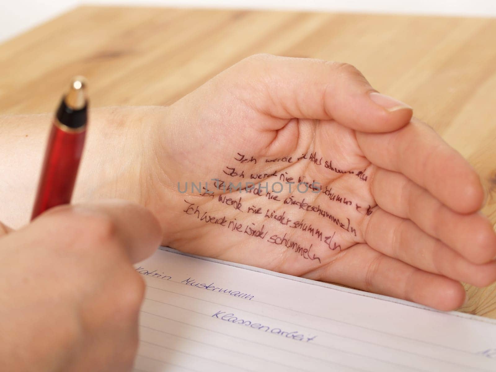 I'll never cheat again