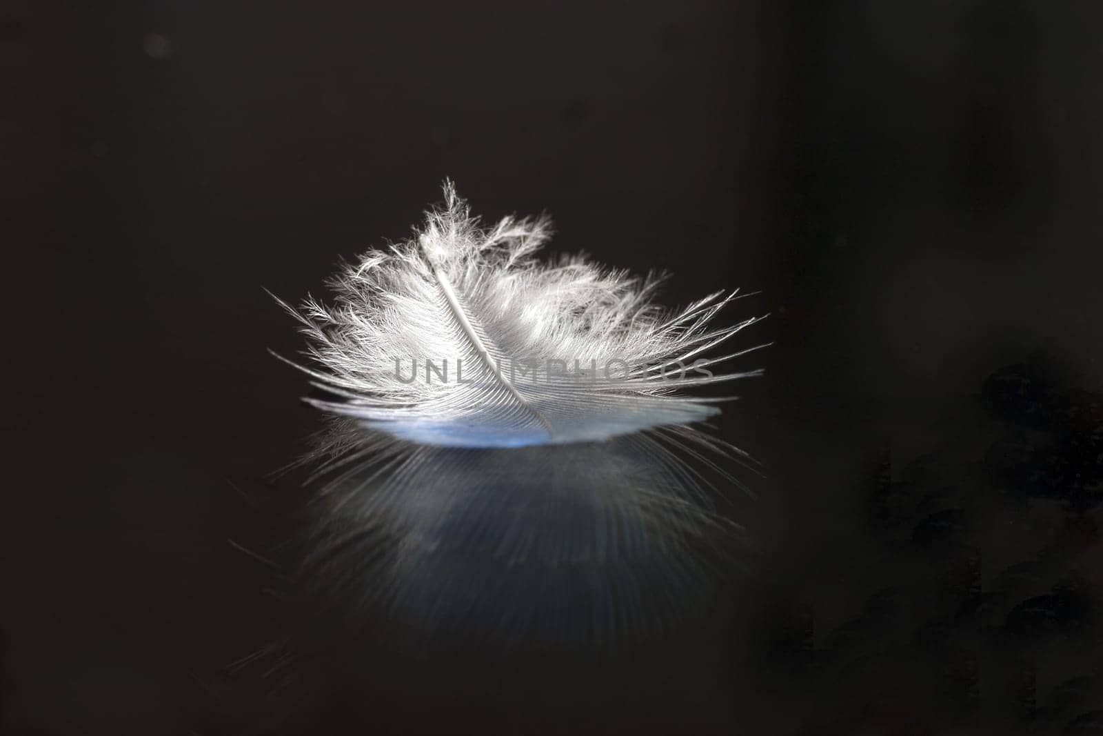 Feather II