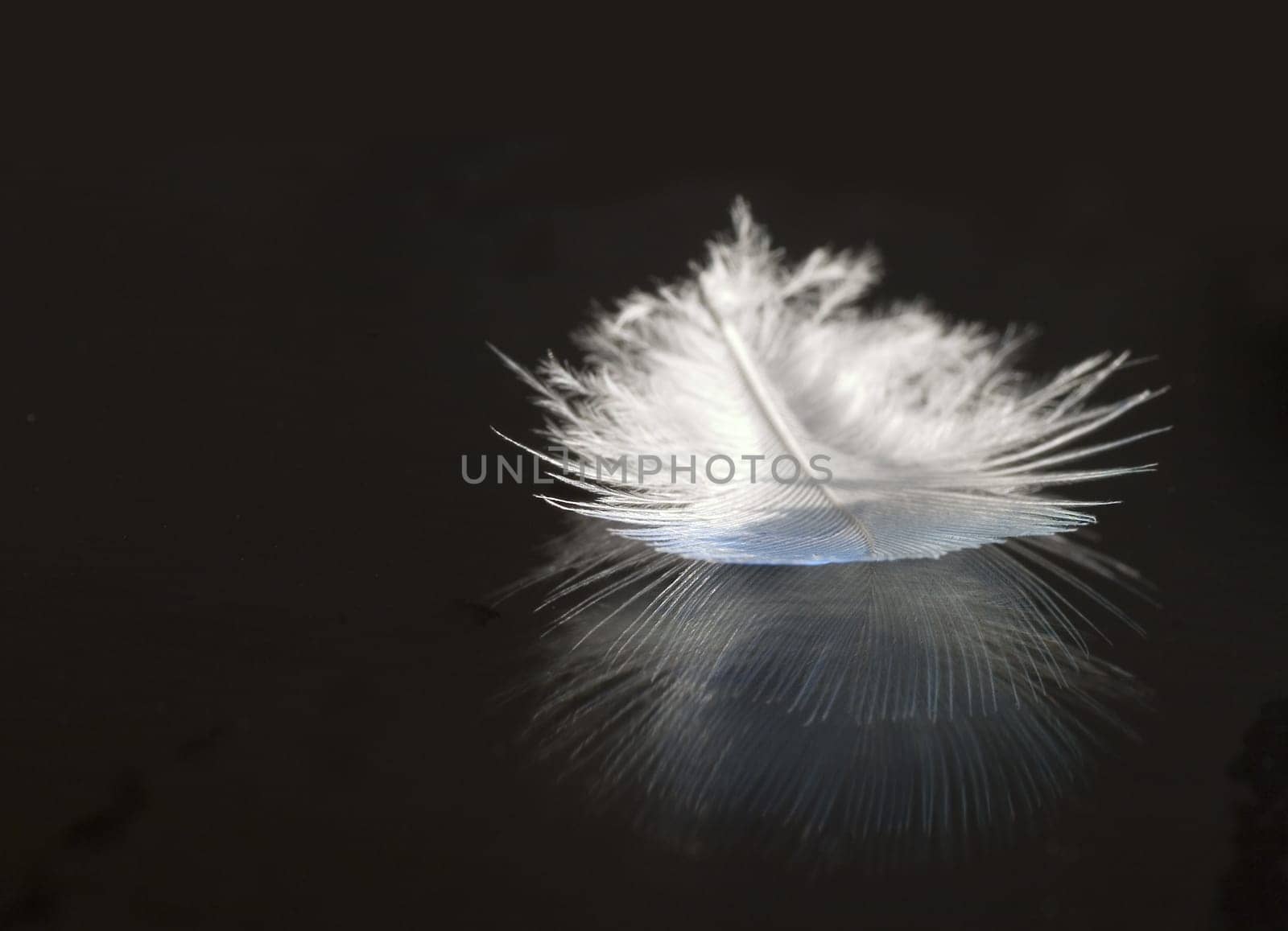 A colleague took off her budgie especially because of my picture :-)