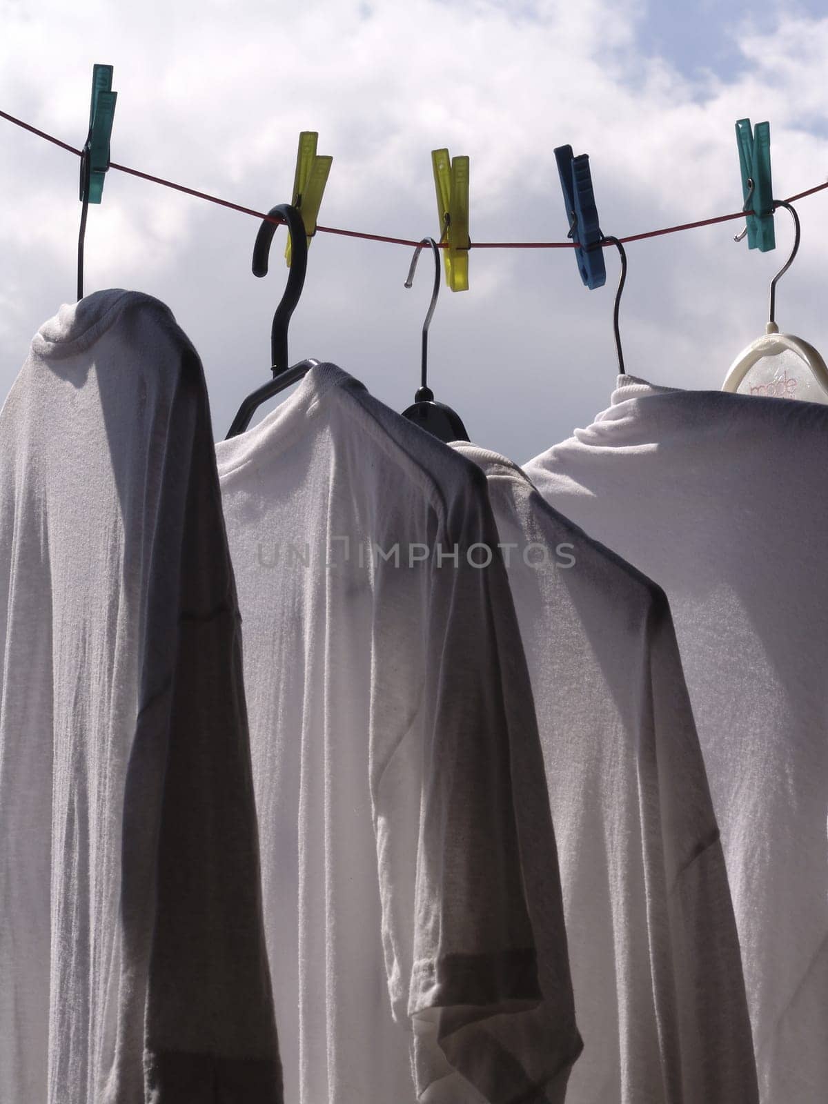 Shirts