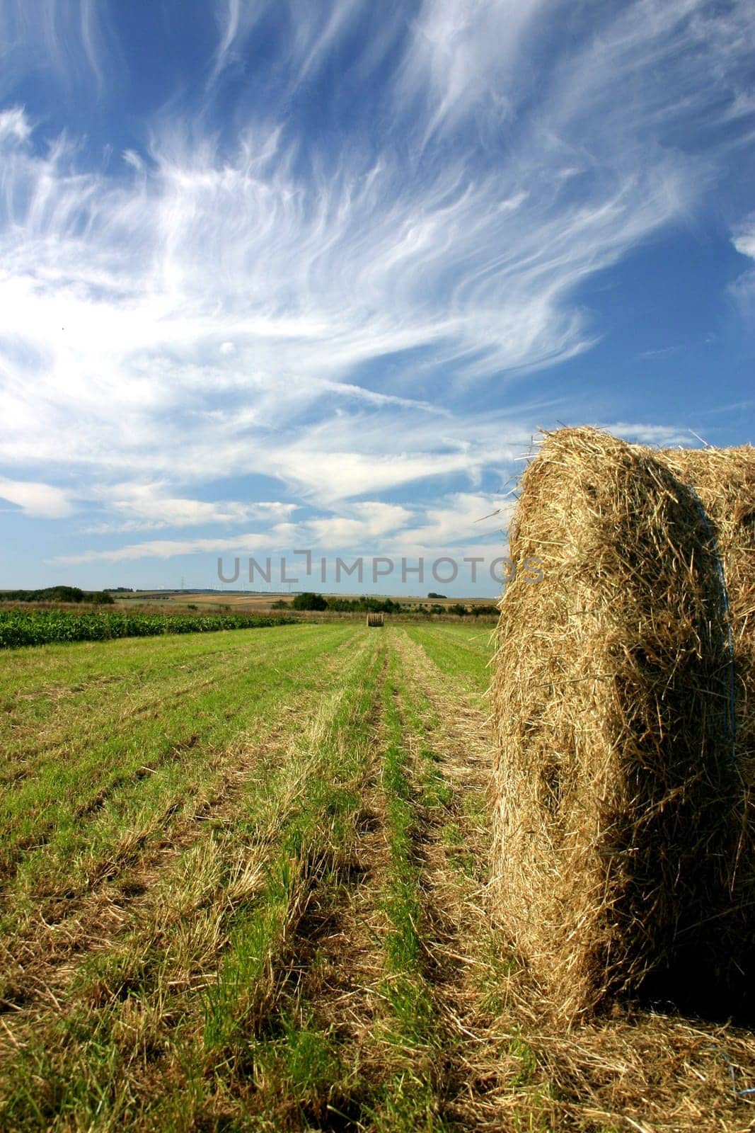 Late summer