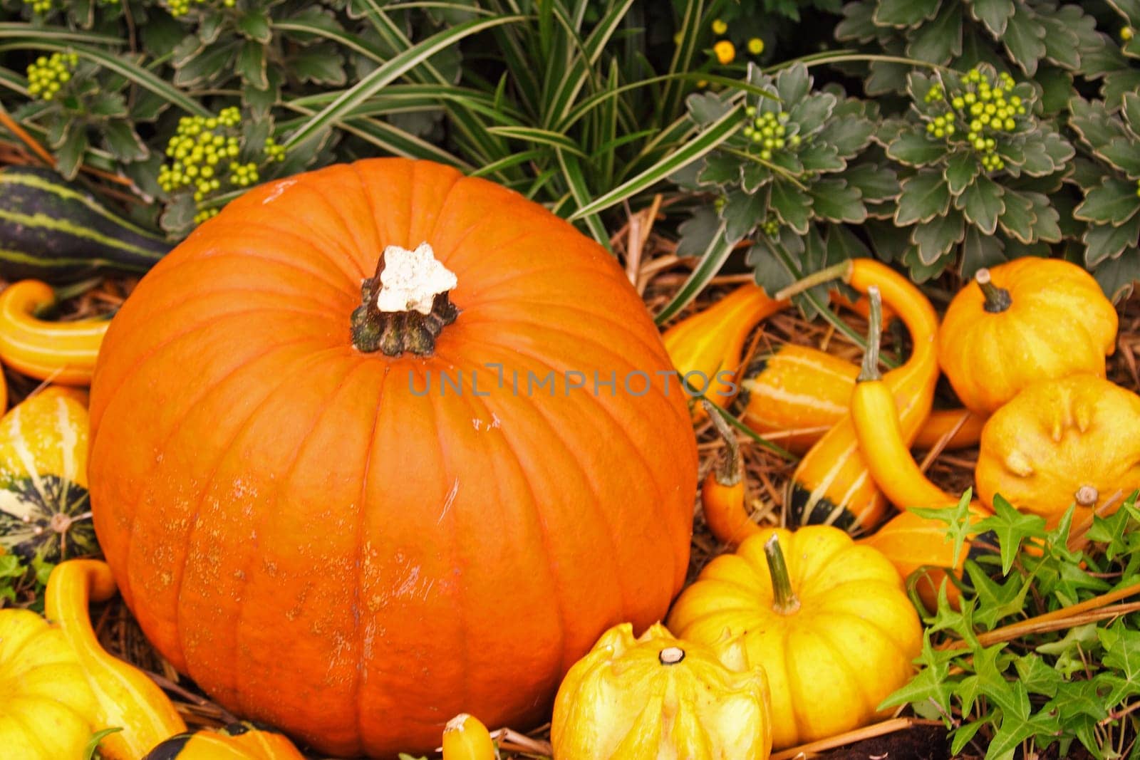 It's autumn