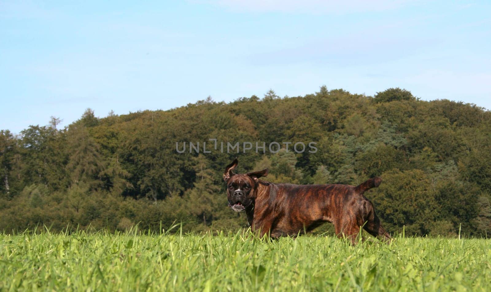 Always have an eye for the camera,even during the run