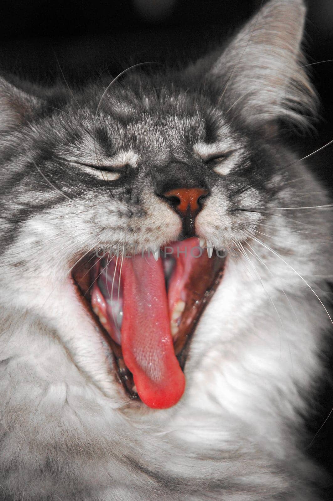 I'm tired!